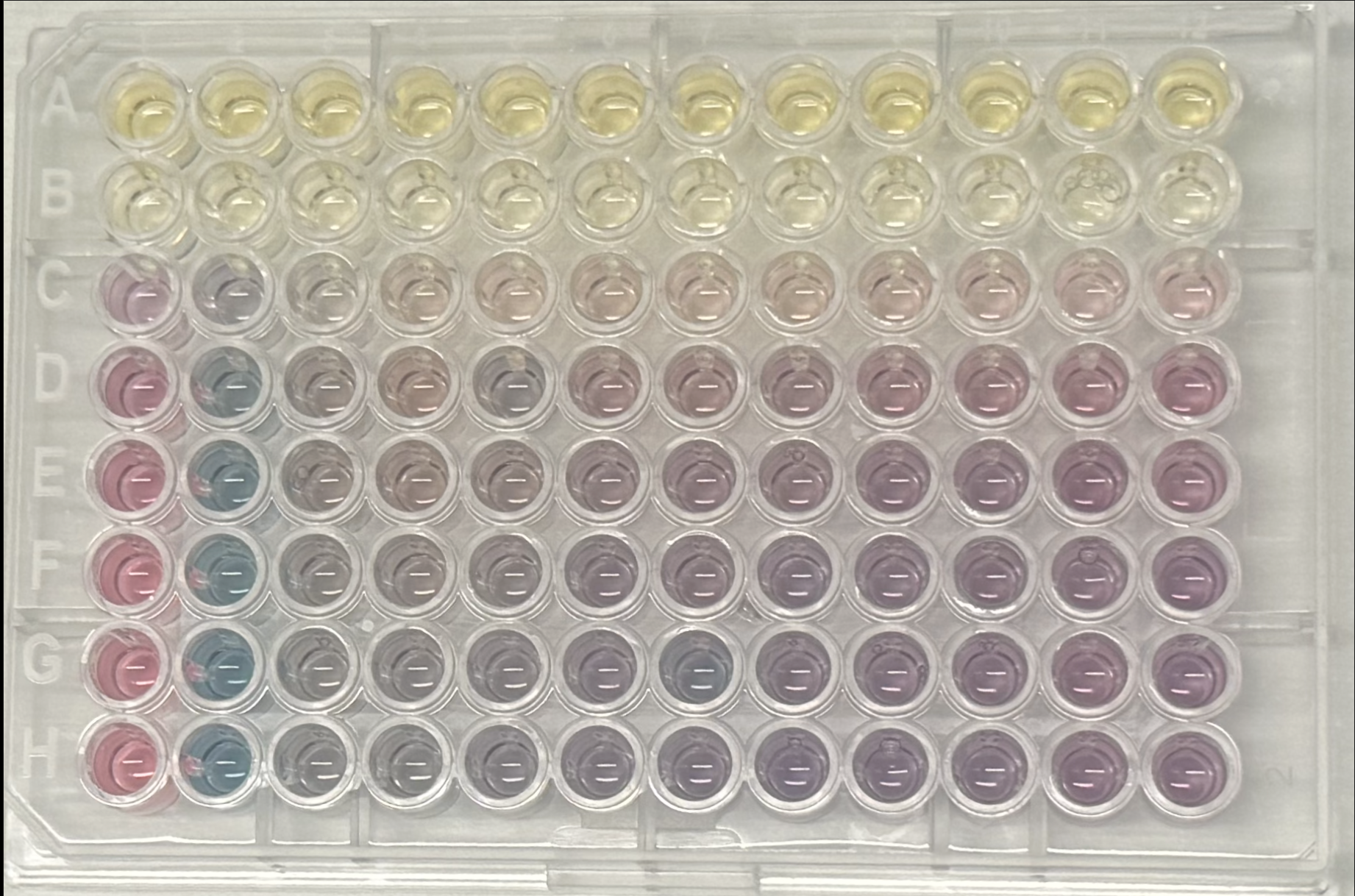 High-throughput nanoparticle synthesis