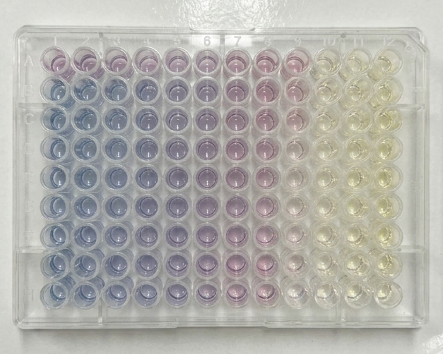 High-throughput nanoparticle synthesis